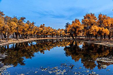 《迪士尼无限飞车》正式版免费发布 登陆各大平台